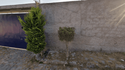 Preparatoria Oficial Núm. 277