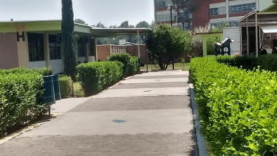 Colegio De Estudios Científicos Y Tecnológicos Del Estado De México Plantel Tepotzotlán