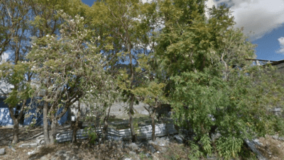 Bachillerato Digital Num. 172