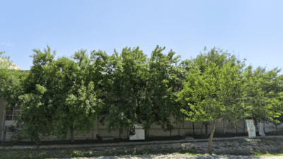 Colegio De Estudios Científicos Y Tecnológicos Plantel García II