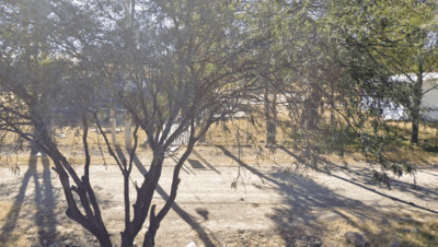 Bachillerato Sabes Los Rodriguez