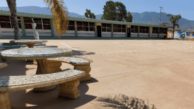 Centro De Bachillerato Tecnologico Agropecuario Num. 198