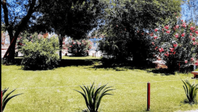 Centro De Bachillerato Tecnologico Agropecuario Num. 41