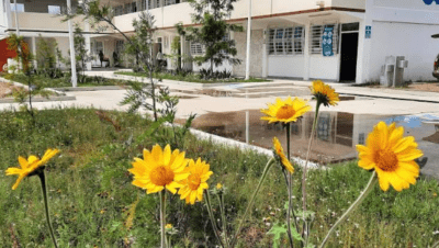 Centro De Estudios Tecnologicos En Aguas Continentales Num. 11 Silao