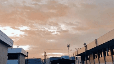 COLEGIO DE ESTUDIOS CIENTIFICOS Y TECNOLOGICOS DEL ESTADO DE MEXICO PLANTEL METEPEC