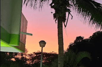 Colegio De Estudio Cientificos Y Tecnologicos Del Estado De Jalisco Plantel PuertoVallarta Ixtapa
