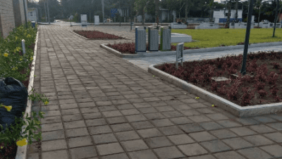 Telebachillerato Progreso Y Paz