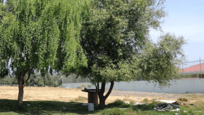 TELEBACHILLERATO COMUNITARIO NO 388 SAN ANTONIO EL LLANITO OCOYOACAC