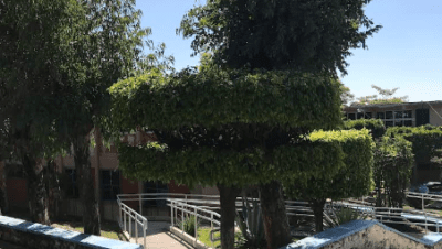 Profr. Antonio L. Mora Del Castillo