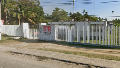 Colegio De Bachilleres Plantel Num 50